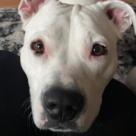 Meet your Posher, Brittney - Picture 9 of 16